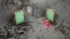 Lobster Tag screenshot 2
