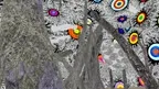 VRoar screenshot 1