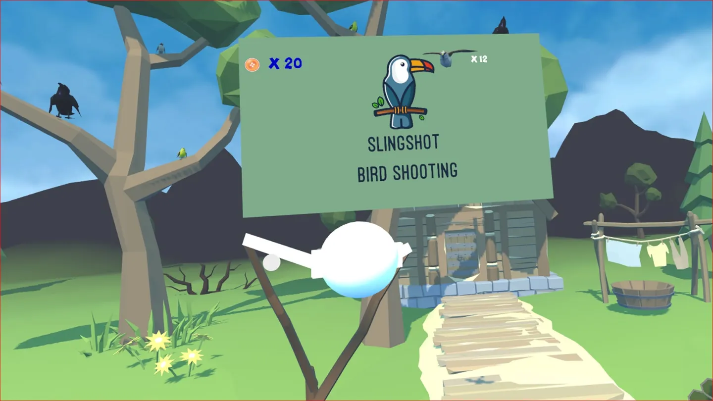 Slingshot Bird Shooting cover image