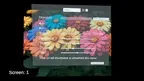 VR Photo Slideshow screenshot 1