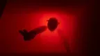 Lucid Descent screenshot 2