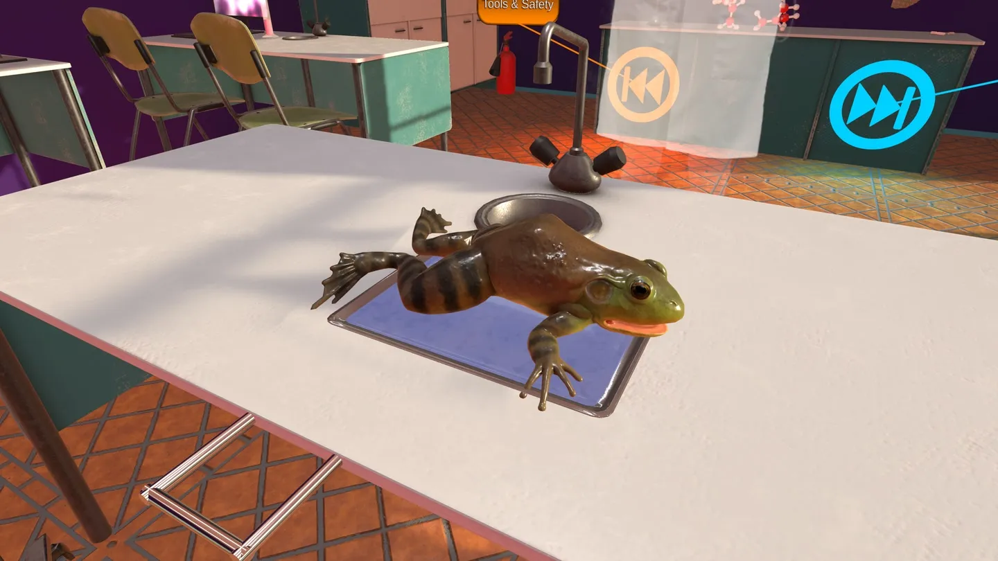 Dissection Simulator: Frog Edition trailer 0