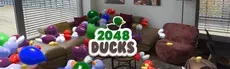 2048 Ducks hero image