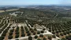 Baena History and Archeology Museum VR screenshot 0