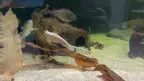 3D Aquarium Nausicaä Centre National.. screenshot 4