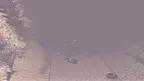 Snow Squall Driving Simulation screenshot 4