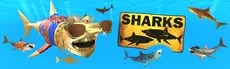 SHARKS hero image