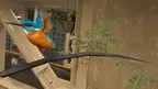 Relax With Bird screenshot 3