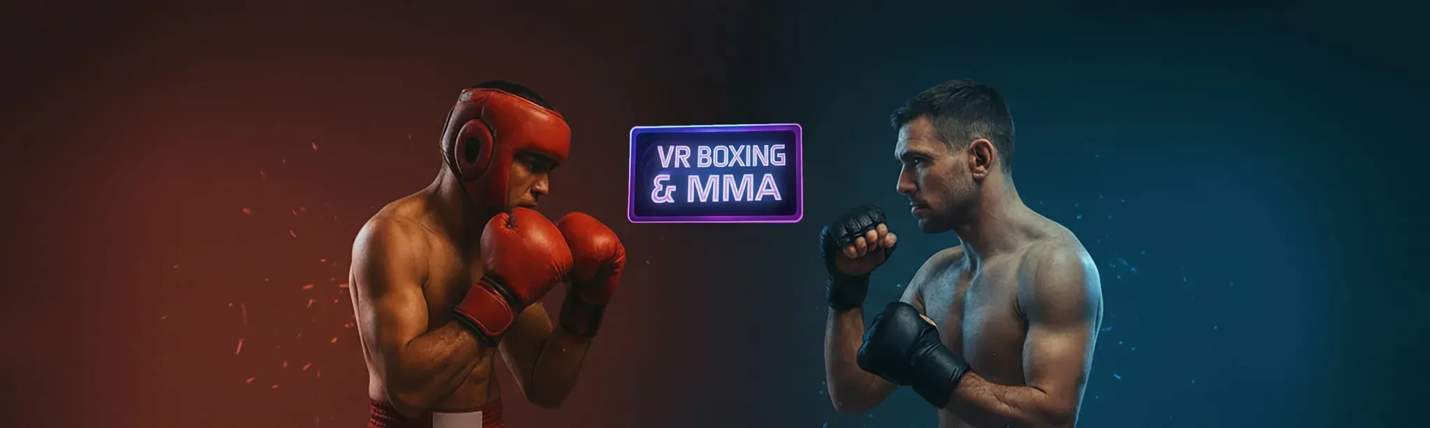VR Boxing And MMA