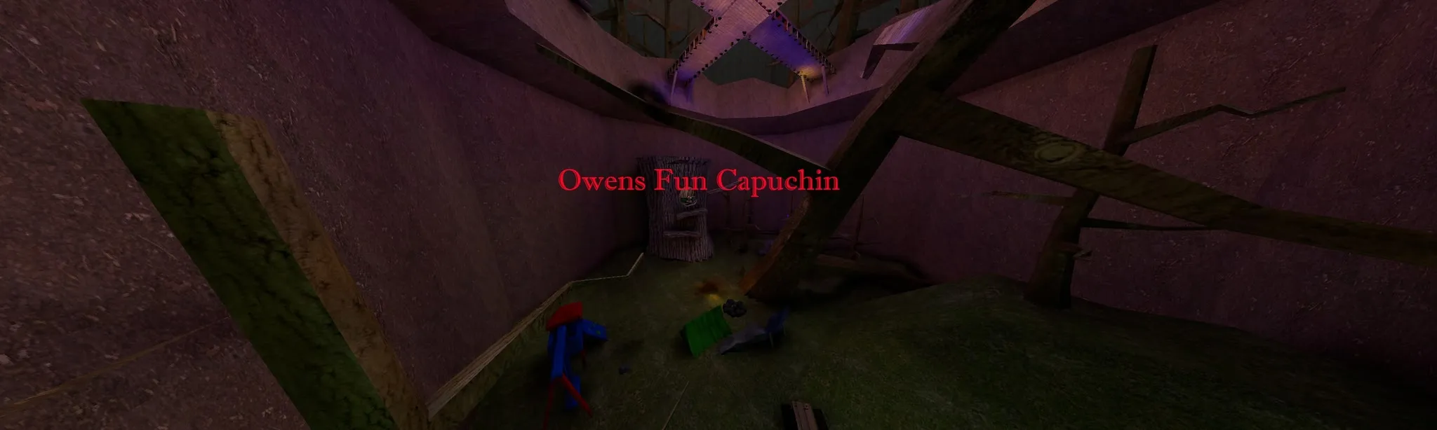 Owens Fun Capuchin