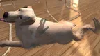 My puppy: Yellow Labrador screenshot 1
