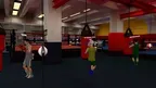 Golden Gloves screenshot 2