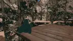 Forest Tagger screenshot 4