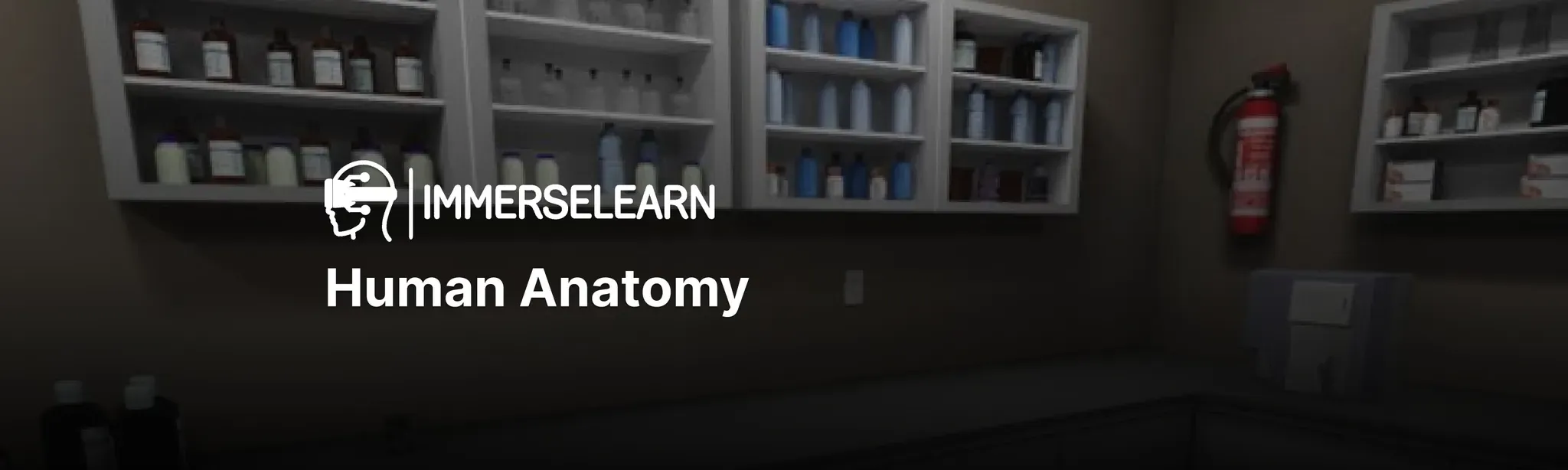 Complete Human Anatomy