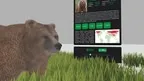 Animal Kingdom screenshot 3
