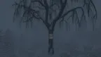 Dagger Woods VR screenshot 3