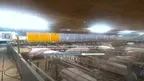360 tour of Lyngbogaard screenshot 4