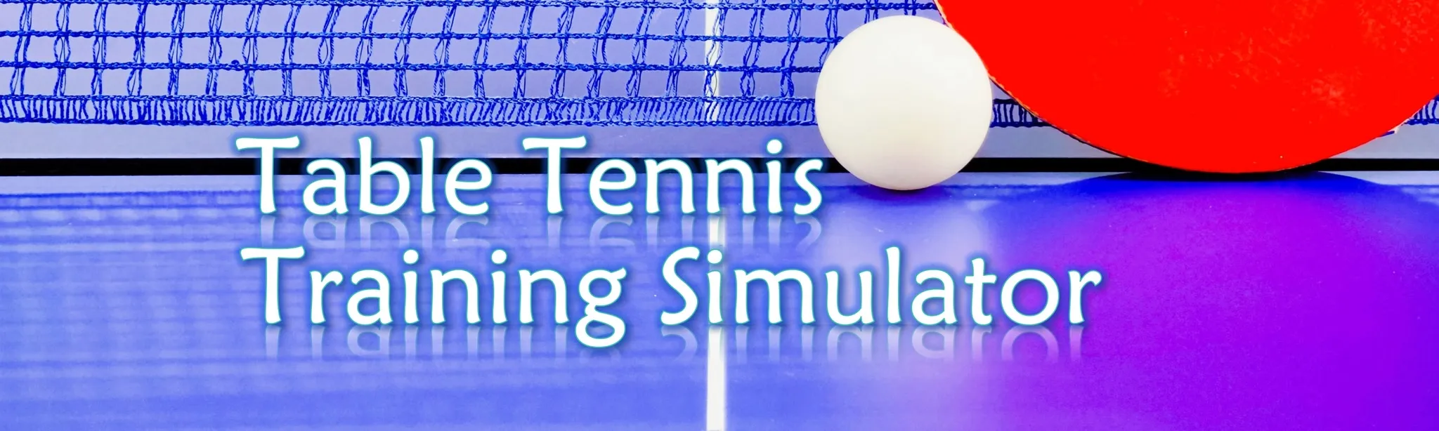 Table Tennis Training Simulator