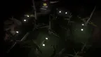 Scary Monkers Horror screenshot 0