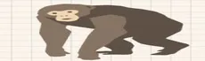 Gibbon runners hero image