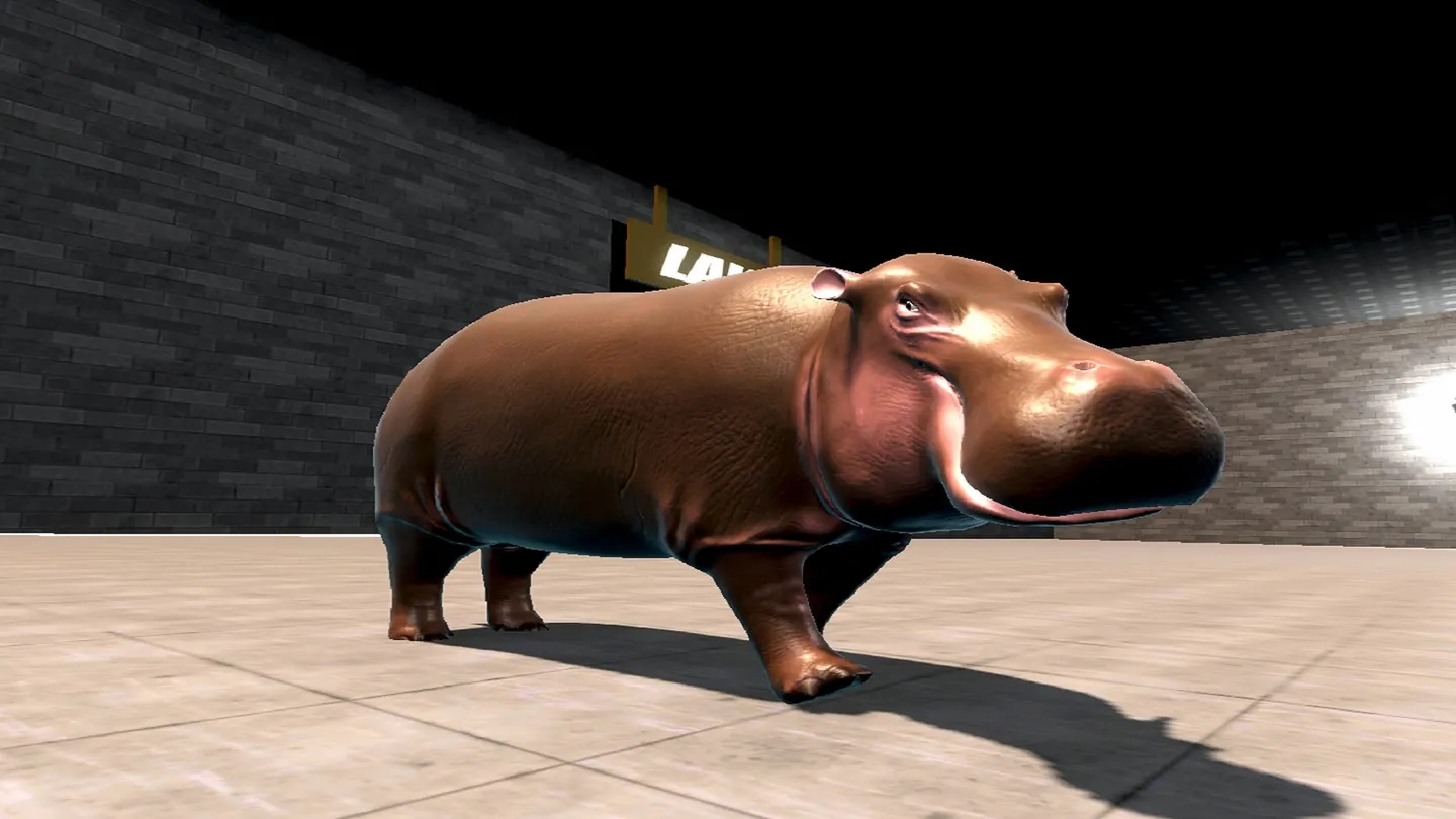 Hippo VR cover image