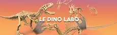Le Dino Labo hero image