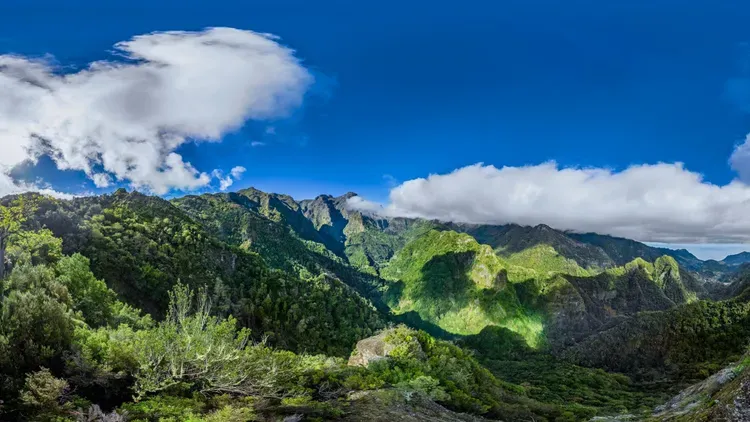 Developer update image for New locations added, new engine