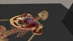 VH Dissector XR screenshot 1