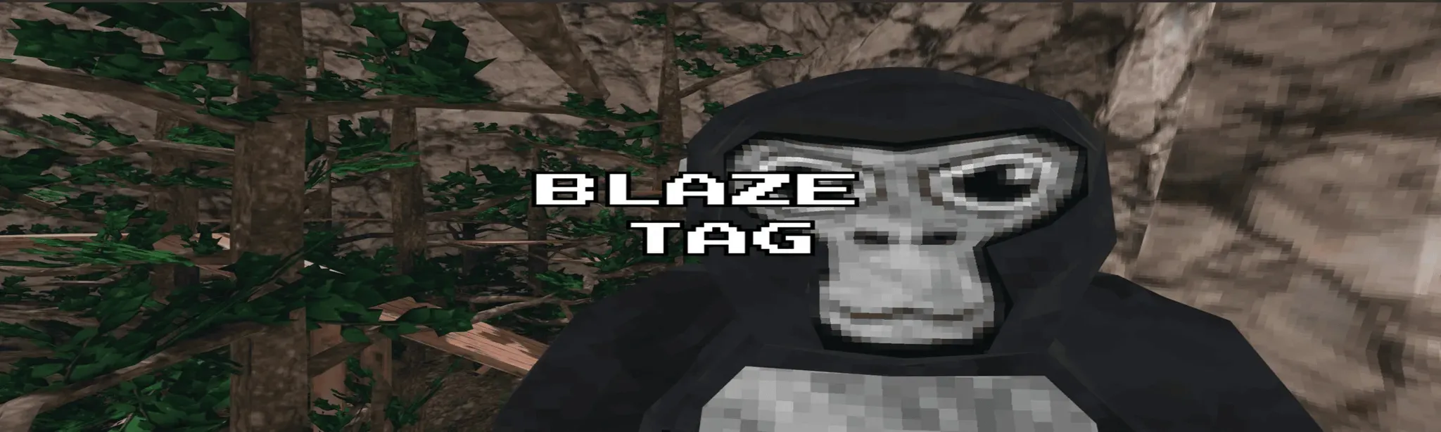 Blaze Tag