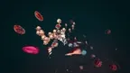 Pandora screenshot 1