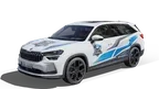 Digital Driving School screenshot 0