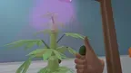 Drug Dealing Simulator VR screenshot 5