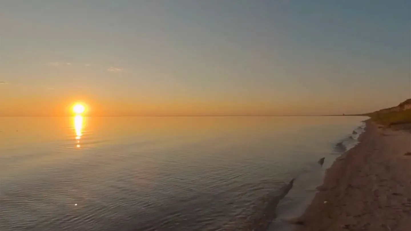 Nature of Eastern Mongolia cover image