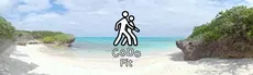 CoDo Fit hero image