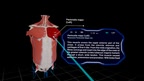 High School Anatomy for Quest screenshot 5