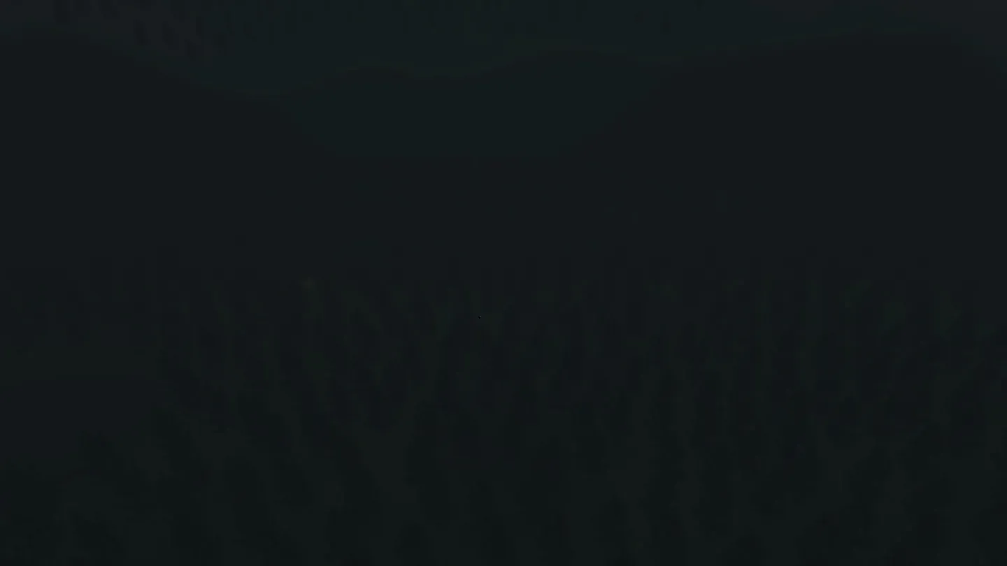 Slender Tag cover image