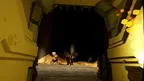 Dungeon Adventures screenshot 3