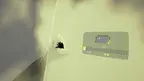 Roomrot: Infected Walls screenshot 2