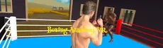 Boxing Academy VR hero image