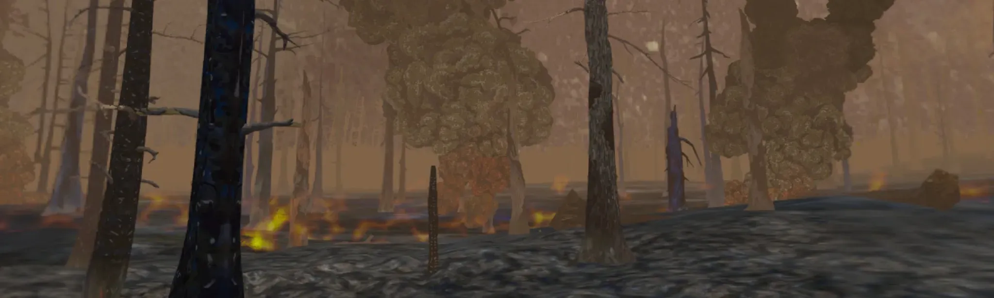 Forest Fire Regrowth