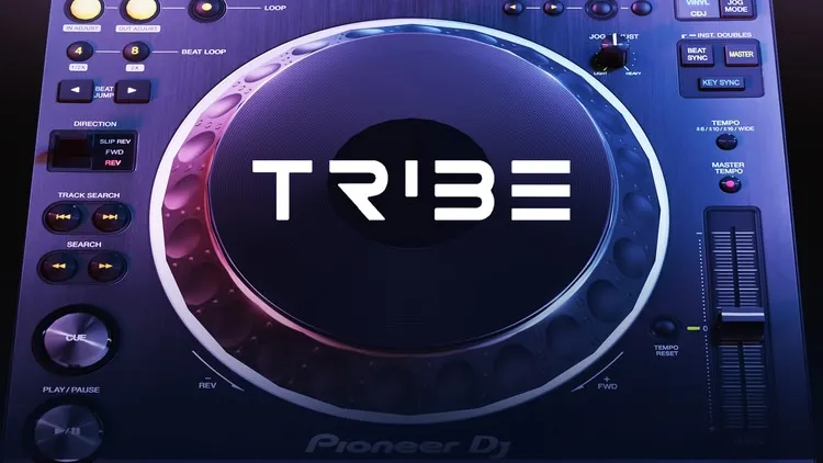 Developer update image for Tribe XR Version 12 is here!