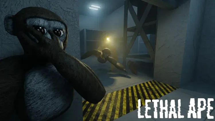 Developer update image for Update Alert: A Brighter, Smoother Experience!