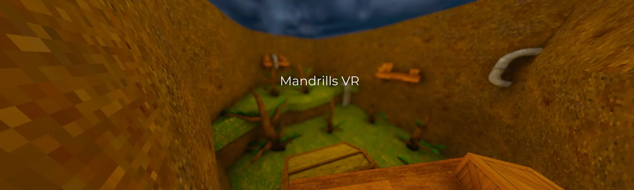 Mandrills VR