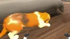 My puppy: Basset Hound screenshot 3