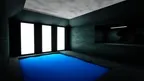 The Siamang FIles screenshot 5
