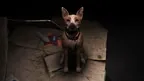 UNHOME screenshot 3