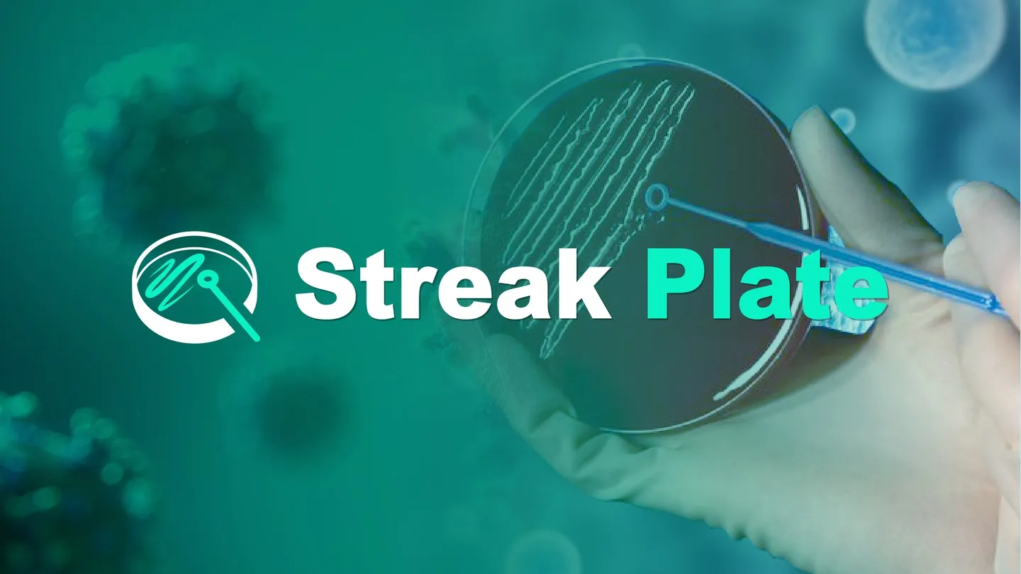 Streak Plate trailer 0