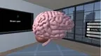 Human Brain Time screenshot 1