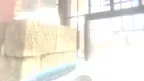 autism experience screenshot 2