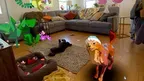 Stay: Forever Home screenshot 5